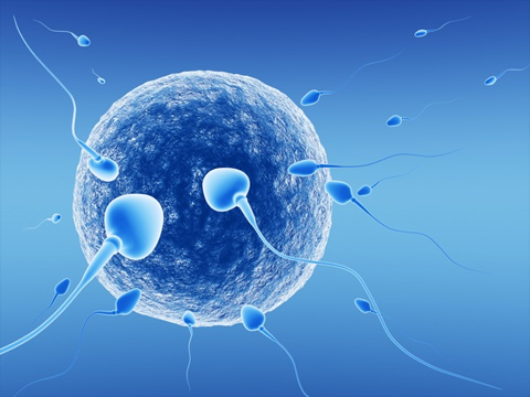 Udayam IVF Unit – Department of Assisted Reproduction
