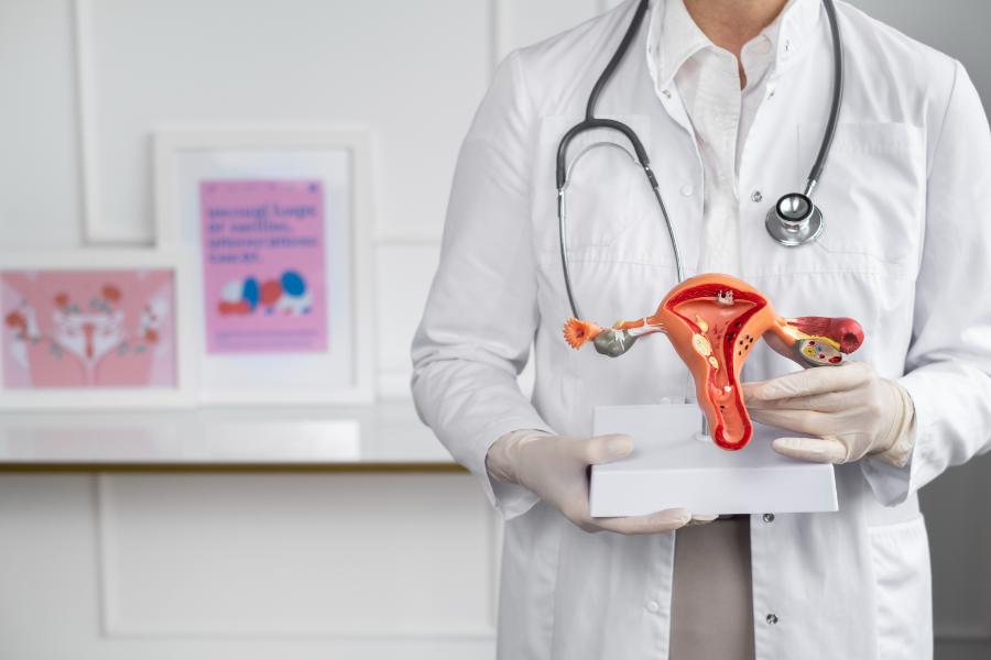 Gynaecology And Obstetrics