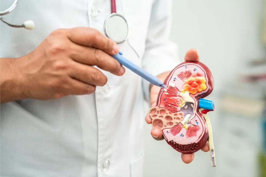 Nephrology